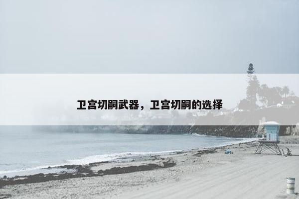 卫宫切嗣武器，卫宫切嗣的选择