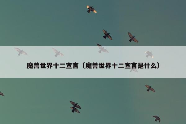 魔兽世界十二宣言（魔兽世界十二宣言是什么）