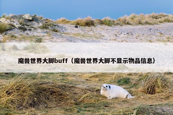 魔兽世界大脚buff（魔兽世界大脚不显示物品信息）