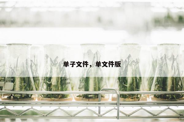 单子文件，单文件版