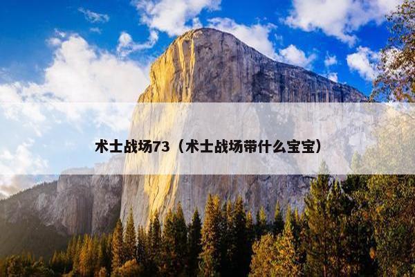 术士战场73（术士战场带什么宝宝）