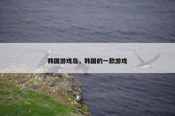 韩国游戏岛，韩国的一款游戏
