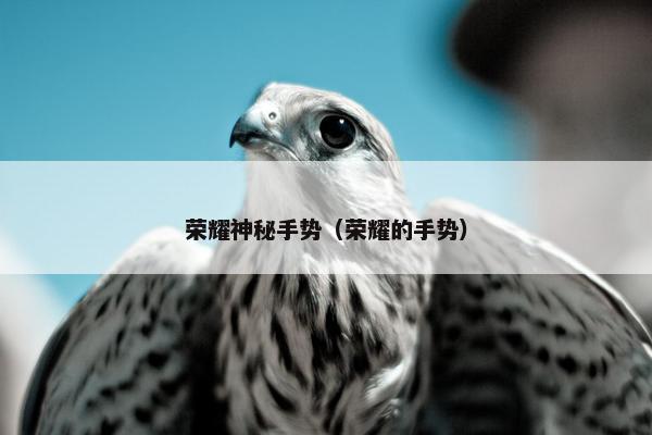 荣耀神秘手势（荣耀的手势）