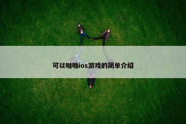 可以啪啪ios游戏的简单介绍