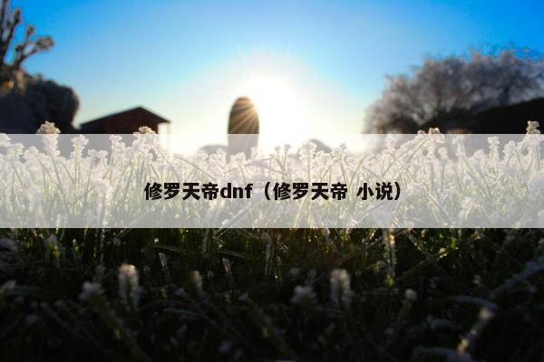 修罗天帝dnf（修罗天帝 小说）