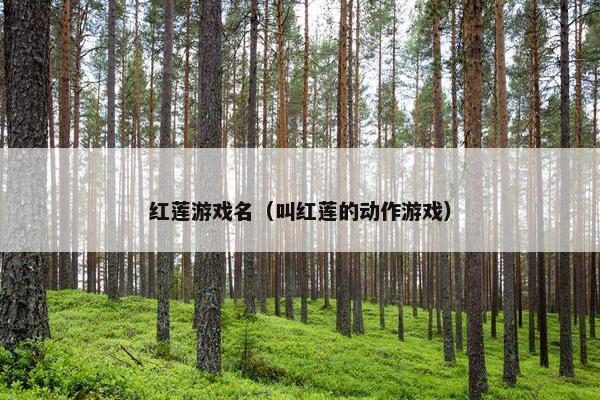 红莲游戏名（叫红莲的动作游戏）