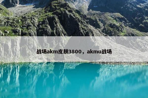 战场akm皮肤3800，akmu战场