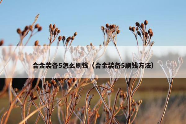 合金装备5怎么刷钱（合金装备5刷钱方法）