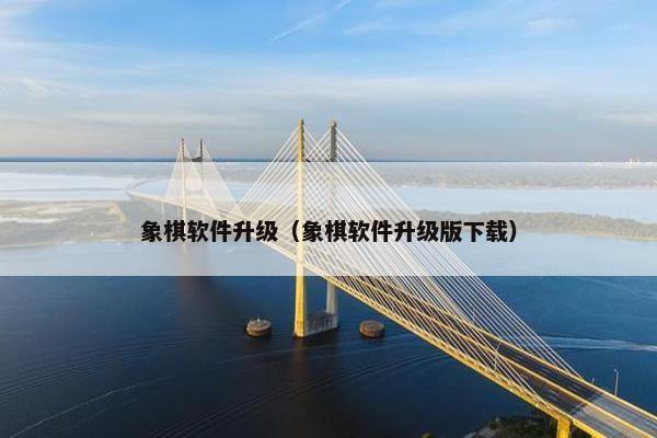 象棋软件升级（象棋软件升级版下载）