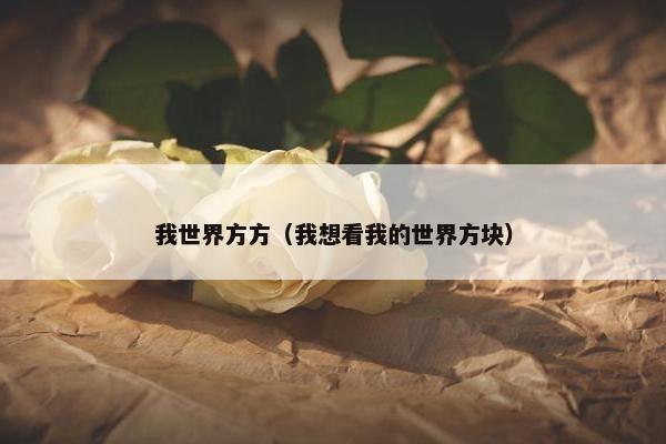 我世界方方（我想看我的世界方块）