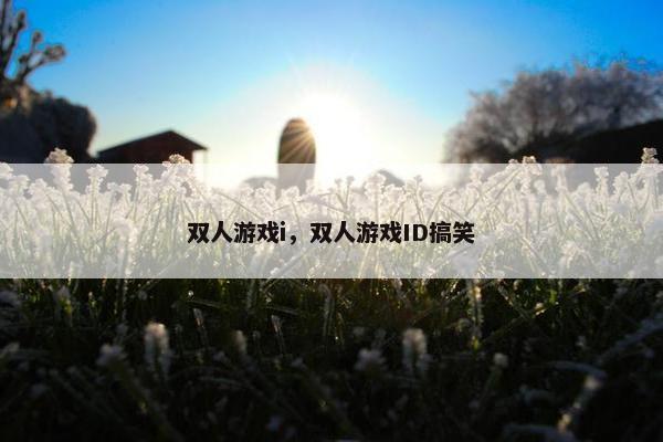双人游戏i，双人游戏ID搞笑