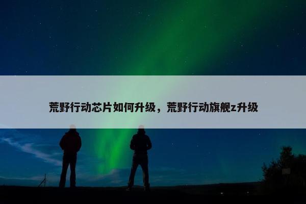 荒野行动芯片如何升级，荒野行动旗舰z升级