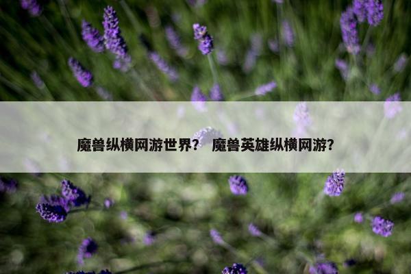 魔兽纵横网游世界？ 魔兽英雄纵横网游？