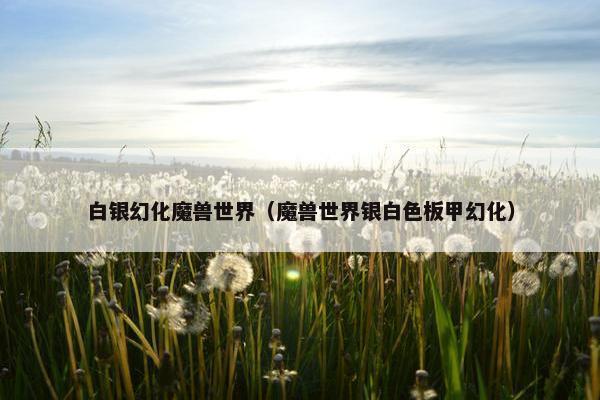 白银幻化魔兽世界（魔兽世界银白色板甲幻化）