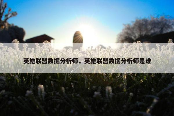 英雄联盟数据分析师，英雄联盟数据分析师是谁