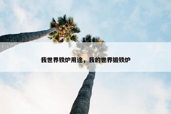 我世界铁炉用途，我的世界锻铁炉