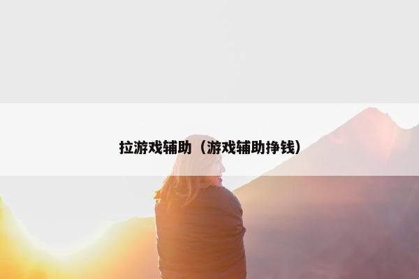 拉游戏辅助（游戏辅助挣钱）