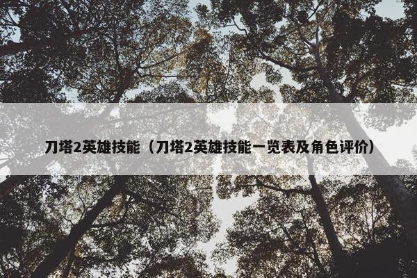 刀塔2英雄技能（刀塔2英雄技能一览表及角色评价）