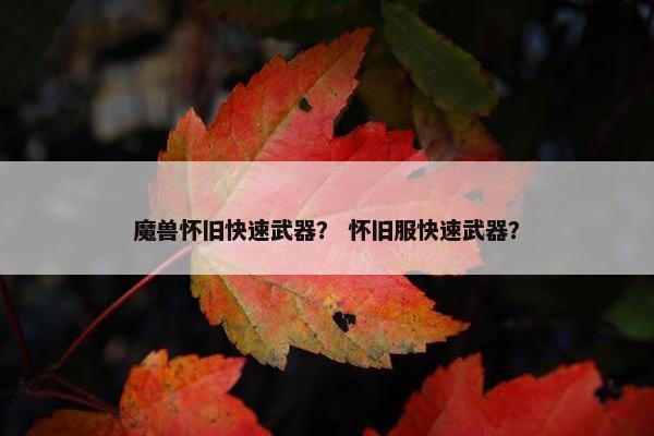 魔兽怀旧快速武器？ 怀旧服快速武器？