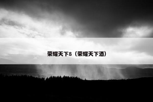 荣耀天下8（荣耀天下酒）