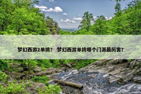 梦幻西游2单挑？ 梦幻西游单挑哪个门派最厉害？