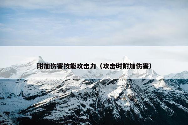 附加伤害技能攻击力（攻击时附加伤害）