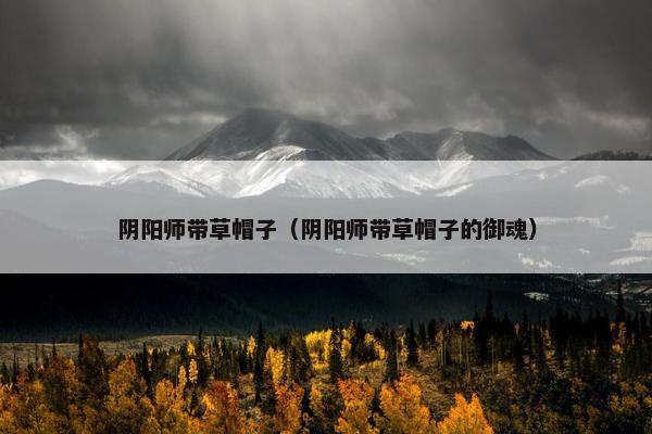 阴阳师带草帽子（阴阳师带草帽子的御魂）