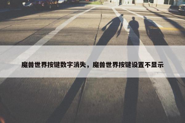 魔兽世界按键数字消失，魔兽世界按键设置不显示