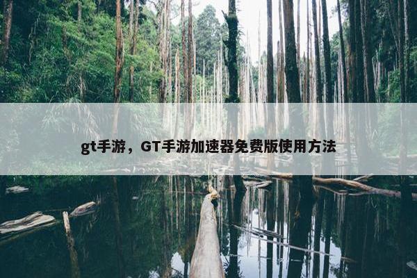 gt手游，GT手游加速器免费版使用方法