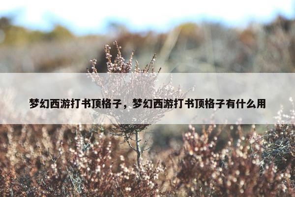 梦幻西游打书顶格子，梦幻西游打书顶格子有什么用