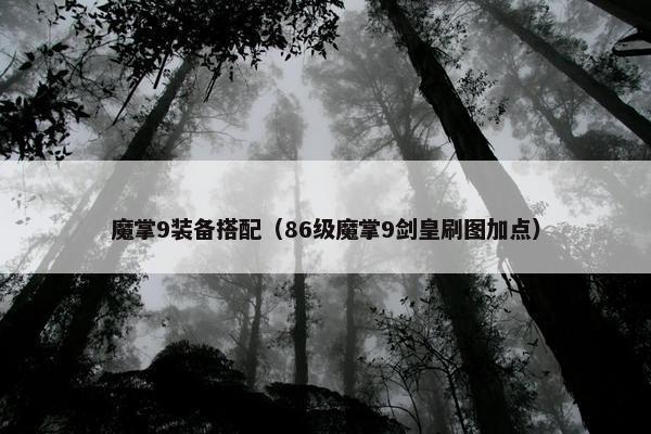 魔掌9装备搭配（86级魔掌9剑皇刷图加点）