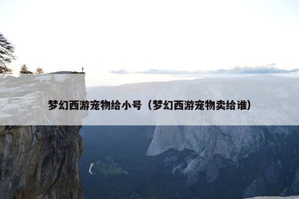 梦幻西游宠物给小号（梦幻西游宠物卖给谁）