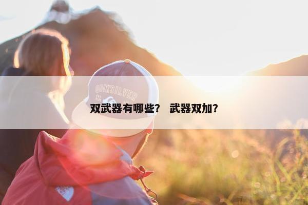 双武器有哪些？ 武器双加？