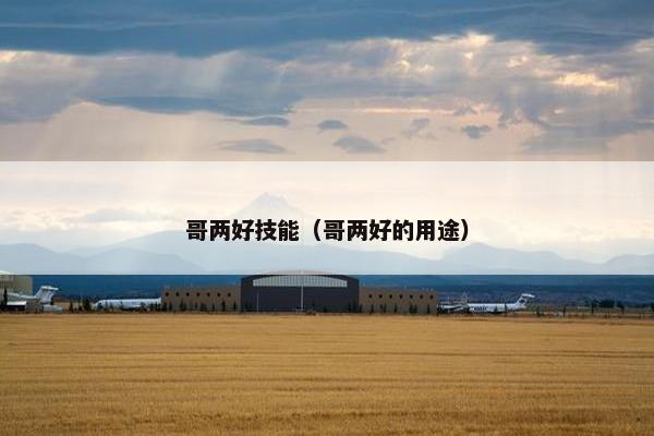 哥两好技能（哥两好的用途）