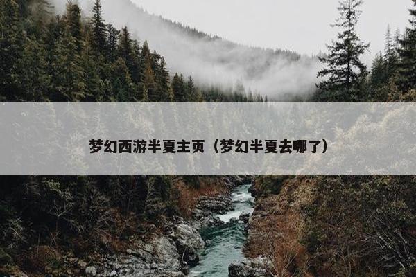 梦幻西游半夏主页（梦幻半夏去哪了）