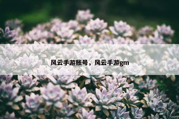 风云手游账号，风云手游gm