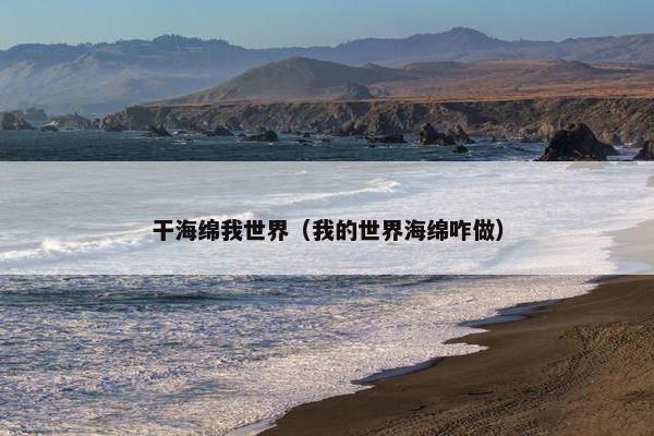 干海绵我世界（我的世界海绵咋做）