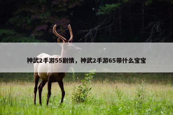 神武2手游55剧情，神武2手游65带什么宝宝