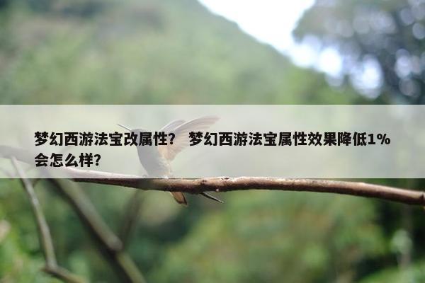 梦幻西游法宝改属性？ 梦幻西游法宝属性效果降低1%会怎么样？