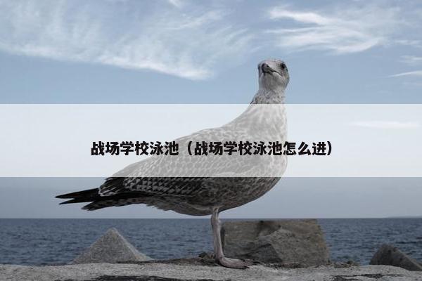 战场学校泳池（战场学校泳池怎么进）