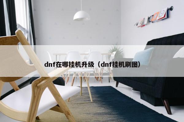 dnf在哪挂机升级（dnf挂机刷图）