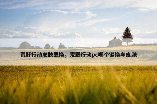 荒野行动皮肤更换，荒野行动pc哪个键换车皮肤