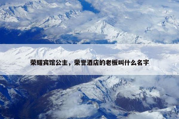 荣耀宾馆公主，荣誉酒店的老板叫什么名字