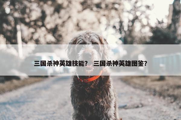 三国杀神英雄技能？ 三国杀神英雄图鉴？