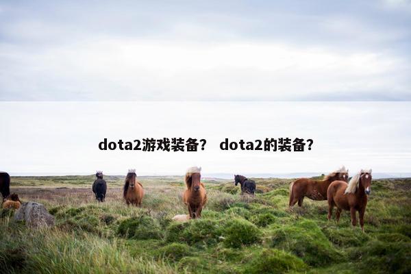 dota2游戏装备？ dota2的装备？