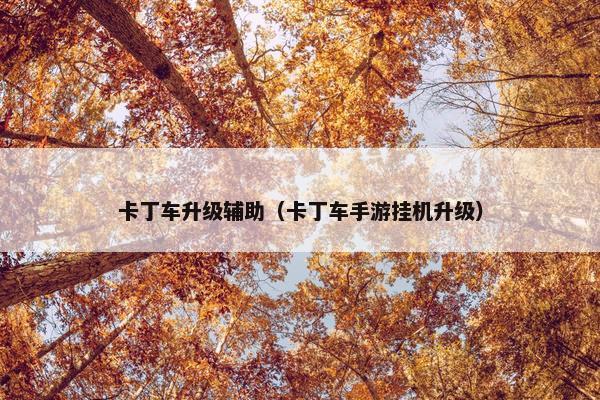 卡丁车升级辅助（卡丁车手游挂机升级）