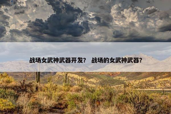 战场女武神武器开发？ 战场的女武神武器？