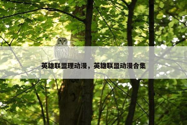 英雄联盟理动漫，英雄联盟动漫合集