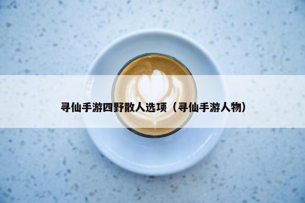 寻仙手游四野散人选项（寻仙手游人物）
