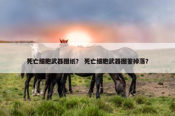 死亡细胞武器图纸？ 死亡细胞武器图鉴掉落？